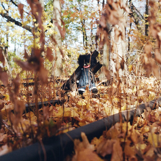 Billy Woods - Golliwog [LP]