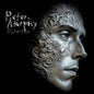 Silver Shade [CD]