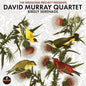 the album cover for Murray, David - Birdly Serenade