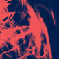Rival Consoles - Landscape From Memory (Sft) [CD]