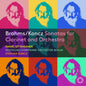 Daniel Ottensamer - Brahms & Koncz: Sonatas For Clarinet & Orchestra [CD]