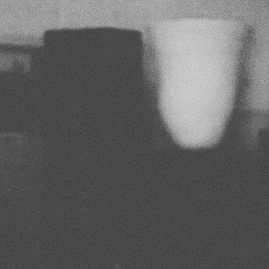 the album cover for Merzbow - The Prosperity Of Vice, The Misfortune Of Virtue