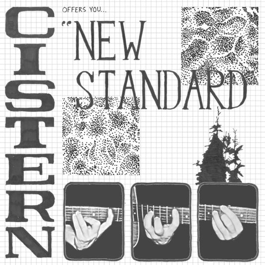 Cistern - New Standard [LP]