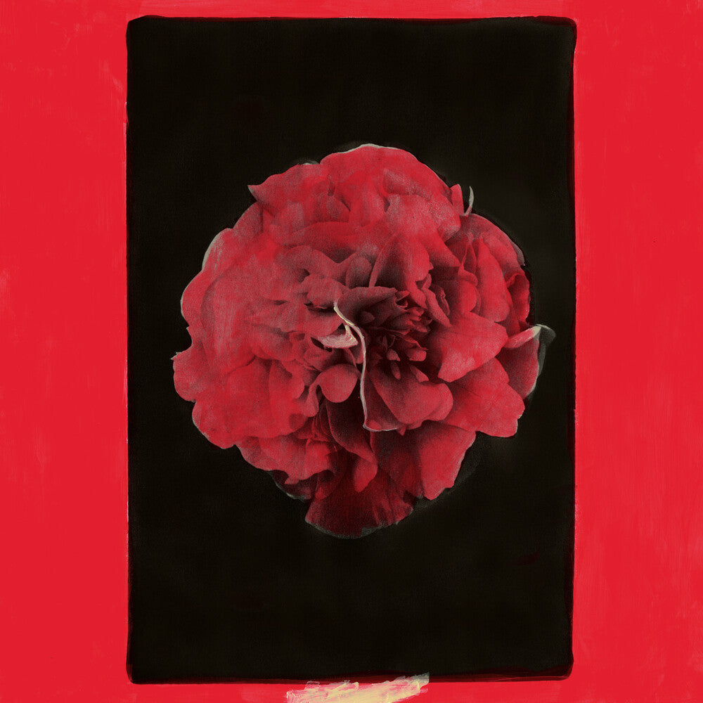 Activity - Thousand Years In Another Way [LP]