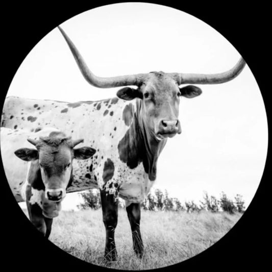 Mike Flanigin - West Texas Blues (Pict) (Pcrd) [LP]