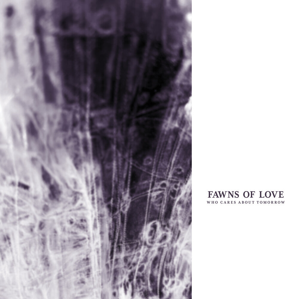Pre-Order: Fawns of Love - Who Cares About Tomorrow [Remastered]