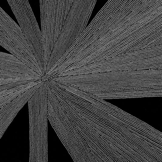 Amina Myers  Claudine - Solace Of The Mind [Clear Vinyl]