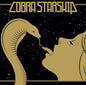 the album cover for Cobra Starship - While The City Sleeps We Rule The Streets
