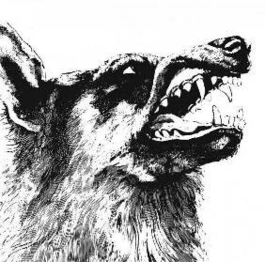 Crippled Black Phoenix - I Vigilante (Ofgv) (Uk) [LP]