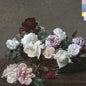 the album cover for New Order - Power Corruption & Lies (Hol)