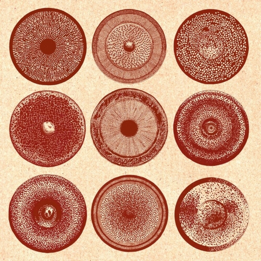 Ensemble Nist-Nah - Spilla [LP]