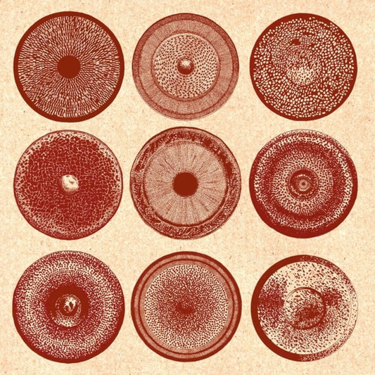 Ensemble Nist-Nah - Spilla [CD]