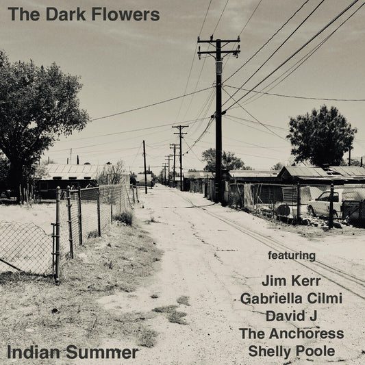 Dark Flowers - Indian Summer (Uk) [CD]
