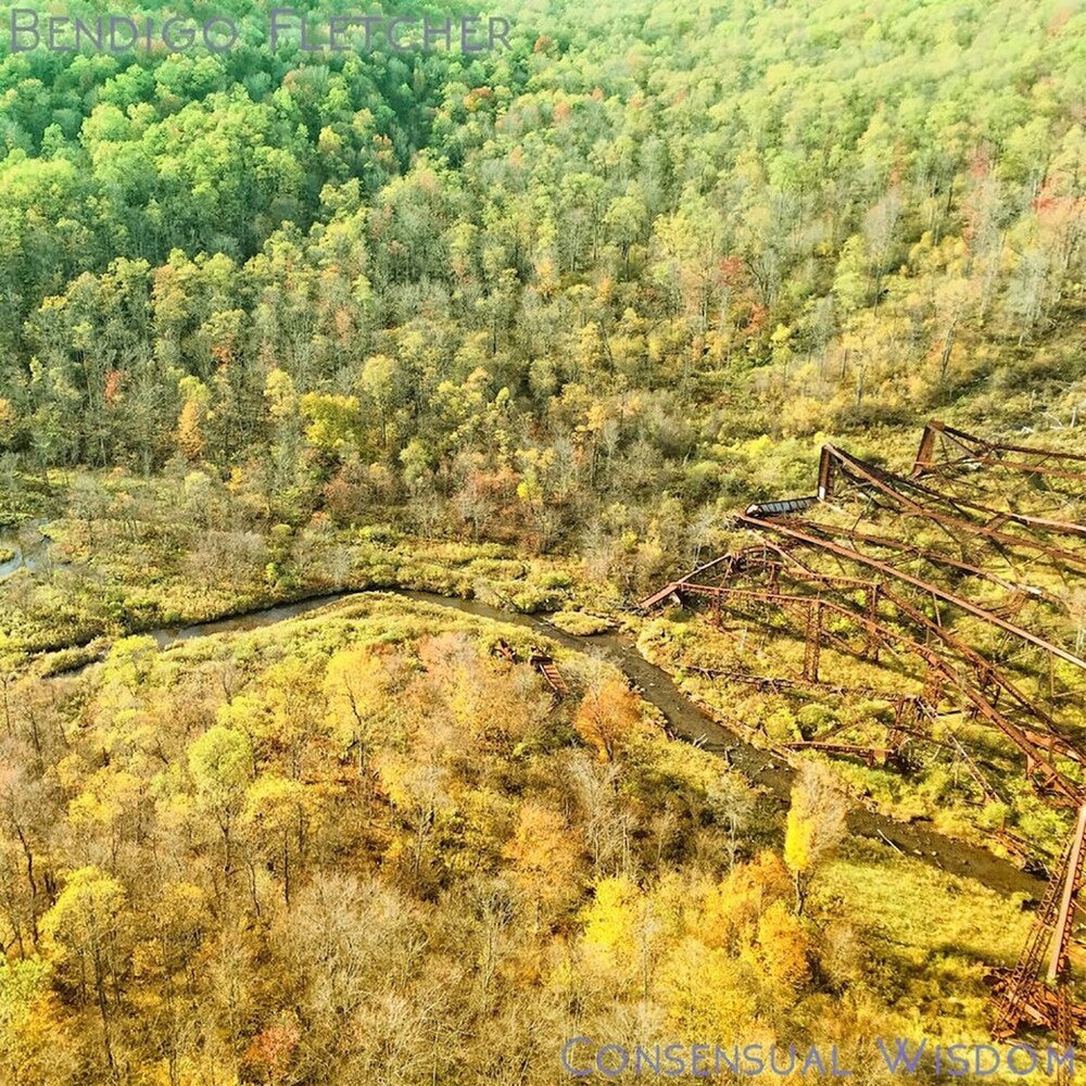 Bendigo Fletcher - Consensual Wisdom (Beig) [Colored Vinyl]