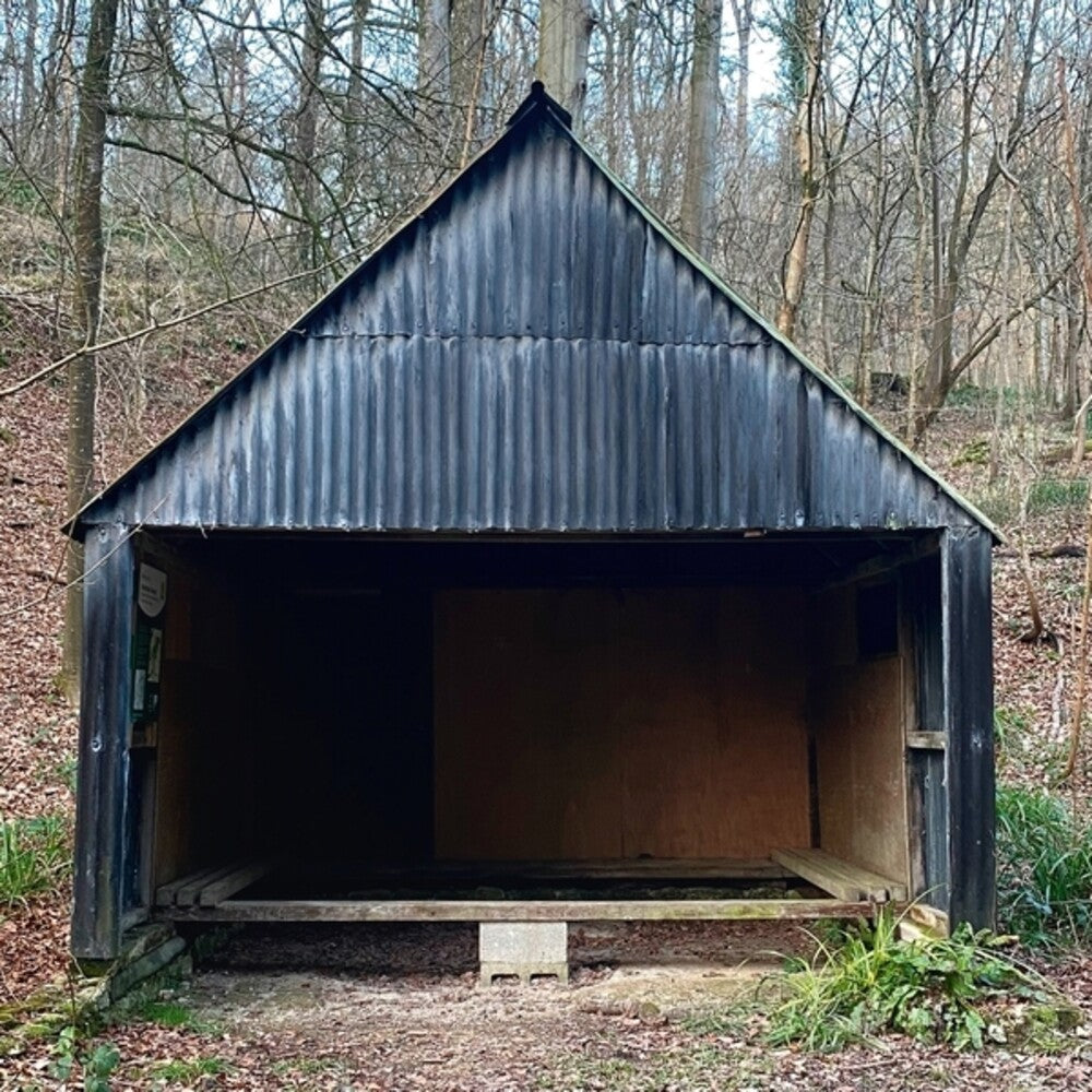 Blancmange - Waiting Room Volume 2 [CD]