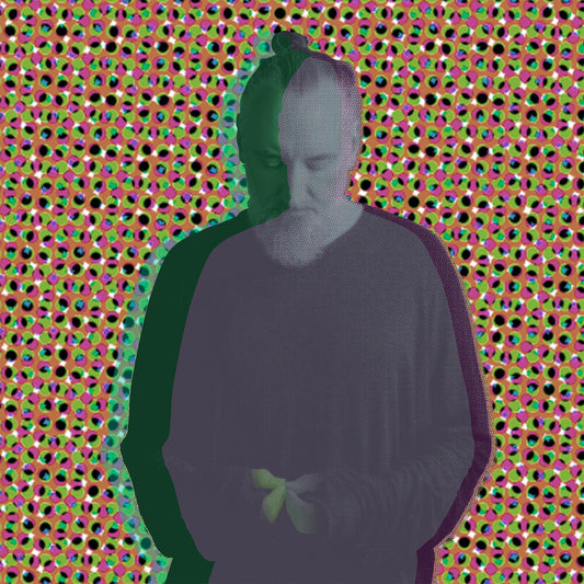 Fink - Beauty In Your Wake Acoustic [Limited Edition]