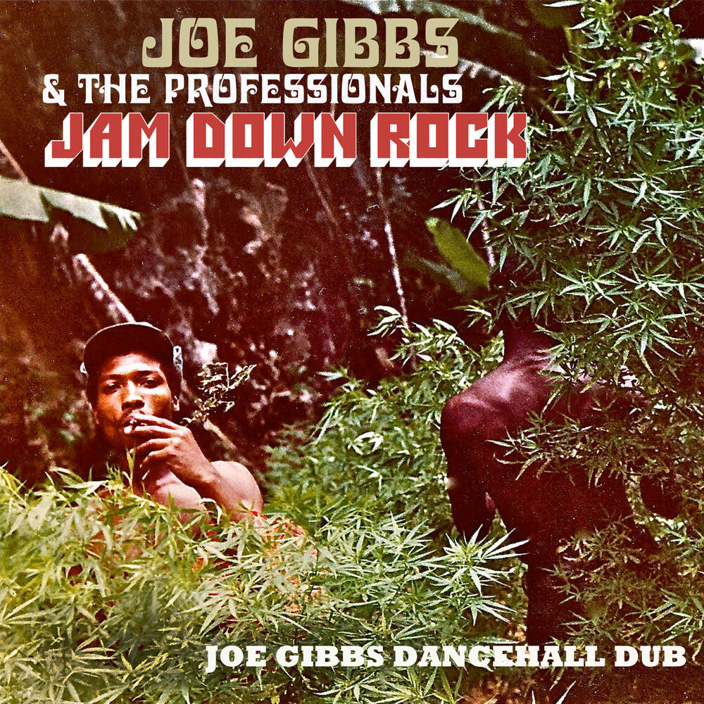 Joe Gibbs  & The Professionals - Jam Down Rock: Joe Gibbs Dancehall Dub (Uk) [CD]