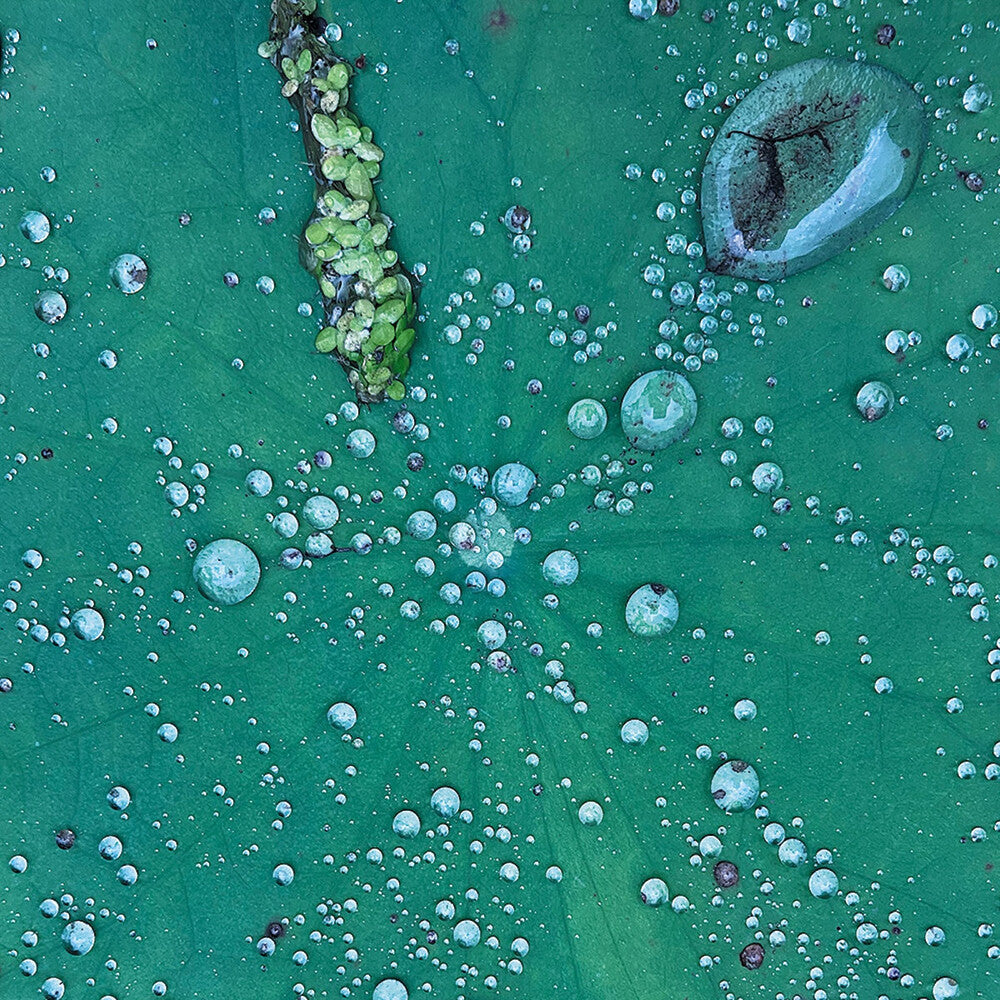 Pre-Order: Peter Chilvers - Dust 1 (10in) [LP]