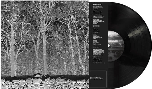 Pile - Sunshine & Balance Beams [LP]