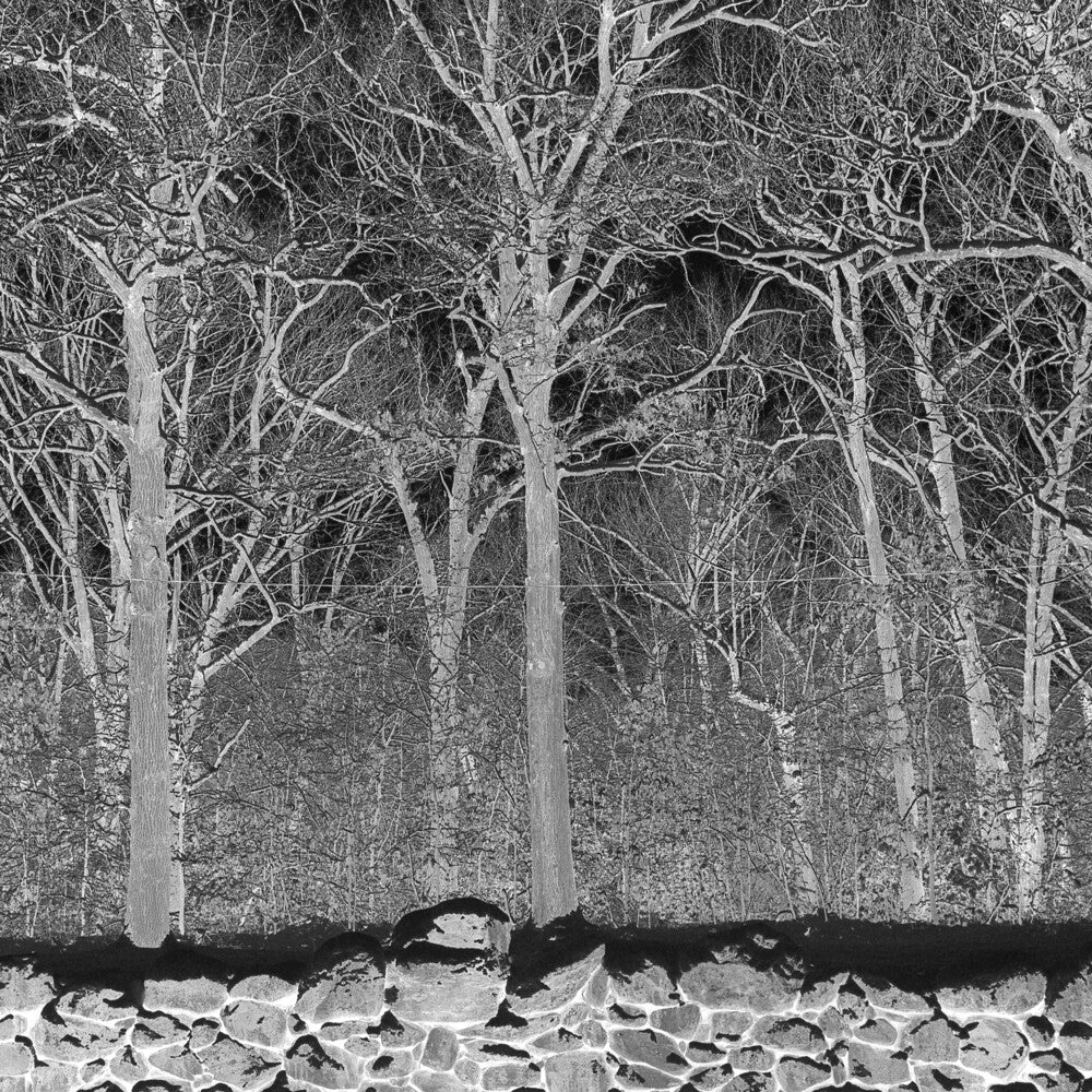 Pile - Sunshine & Balance Beams [CD]