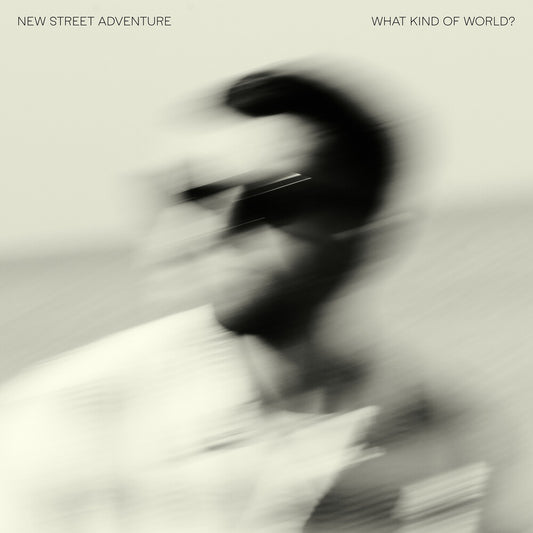 New Street Advanture - What Kind Of World? [LP]