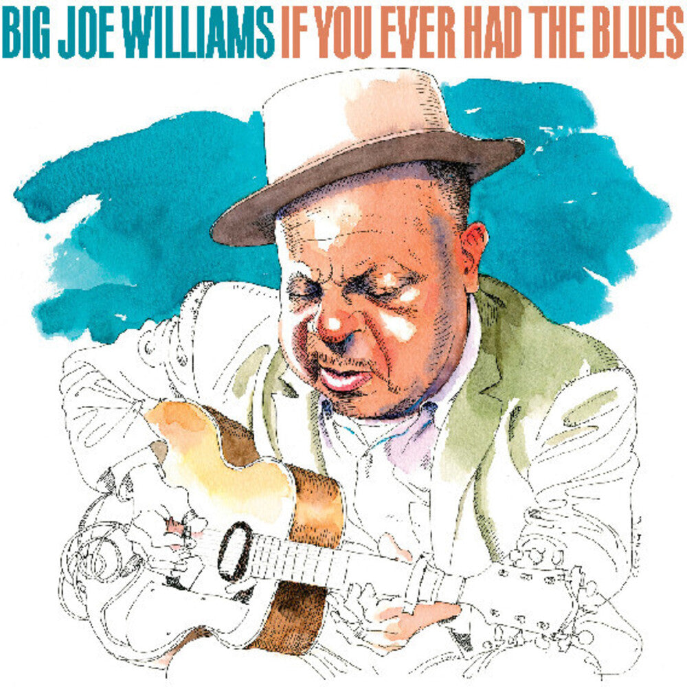 Big Williams  Joe - If You Ever Had The Blues (Eco) [CD]