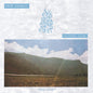 Rene Najera - Painted Life [LP]