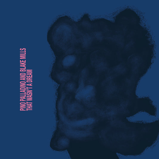 Palladino, Pino / Mills, Blake - That Wasn't A Dream [CD]