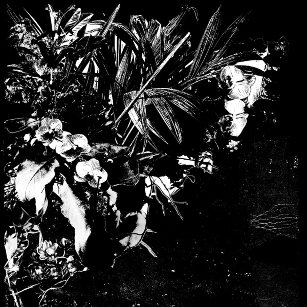 Jef Mertens - Orchid Alto [LP]