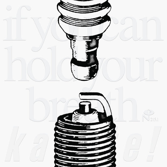 Karate - If You Can Hold Your Breath [LP]