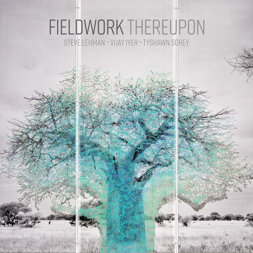 Fieldwork - Thereupon [LP]