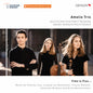 Amelio Trio - Time In Flux [CD]