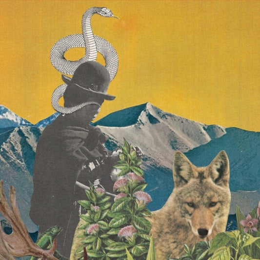 Leslie Graves  / Goodshank,Toby - Between Worlds [Clear Vinyl]