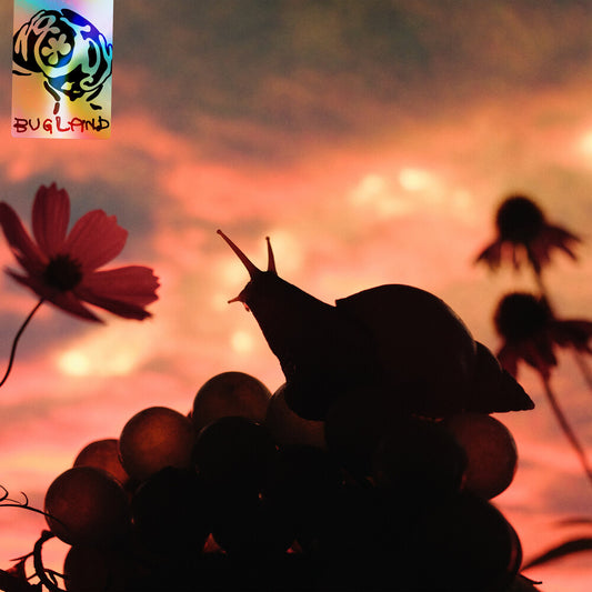 No Joy - Bugland (Blue) [Colored Vinyl]