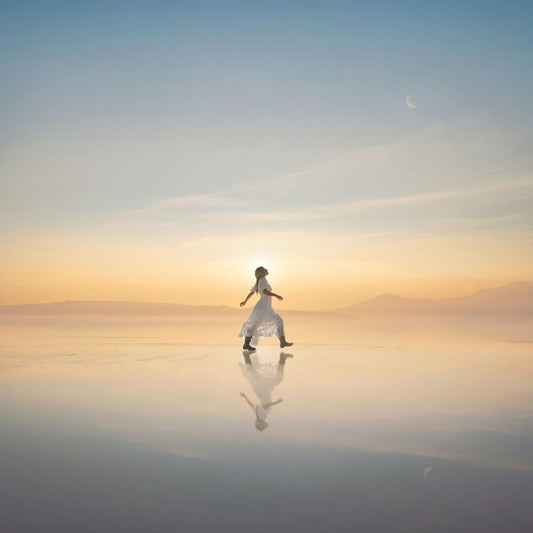 Ellie Holcomb - Far Country [CD]