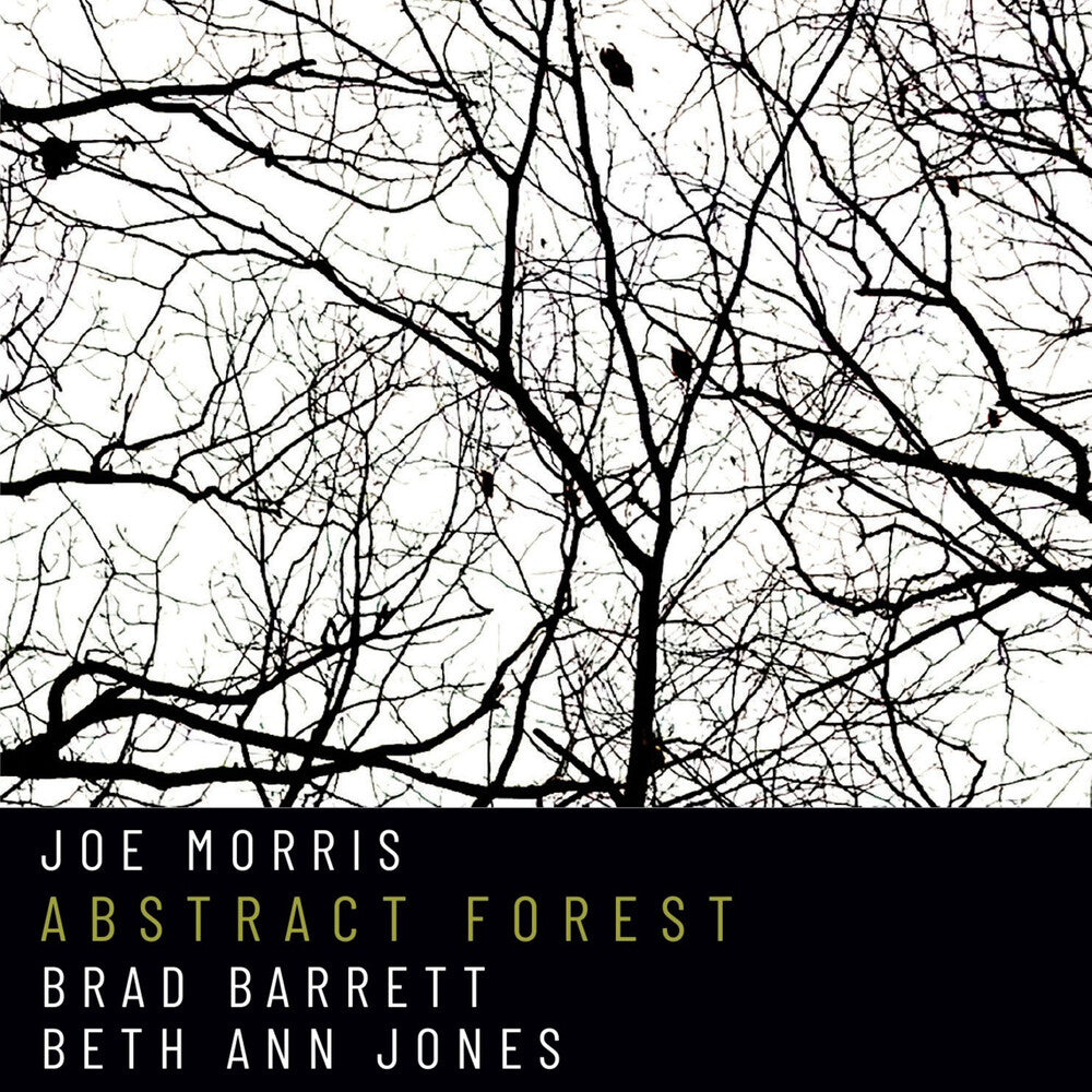 Joe Morris - Abstract Forest [CD]