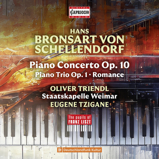 Oliver Triendl - Hans Bronsart Von Schellendorf: Pno Con: Pno Trio [CD]