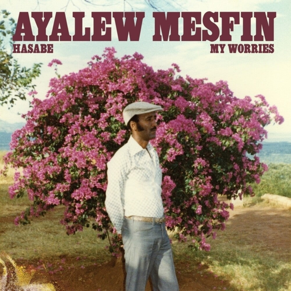Mesfin, Ayalew - Hasabe - My Worries [LP]