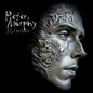Peter Murphy - Silver Shade (Blue) [Clear Vinyl] [Limited Edition]