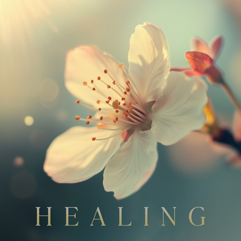 Healing / Various - Healing / Various [CD]