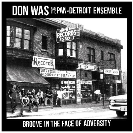 the album cover for Don Was - Groove In The Face Of Adversity
