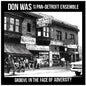 Don Was - Groove In The Face Of Adversity [CD]