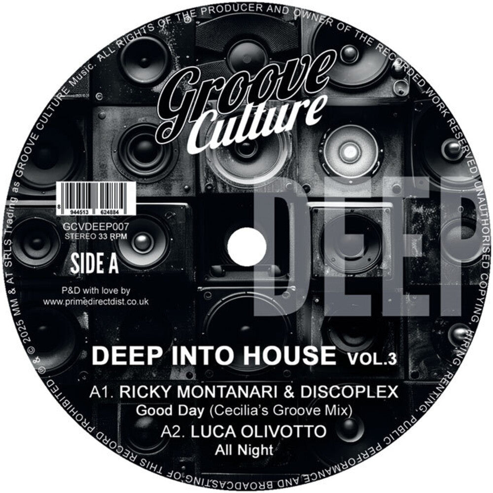 Deep Into House Vol. 3 / Various - Deep Into House Vol. 3 / Various [LP]