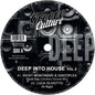 Deep Into House Vol. 3 / Various - Deep Into House Vol. 3 / Various [LP]