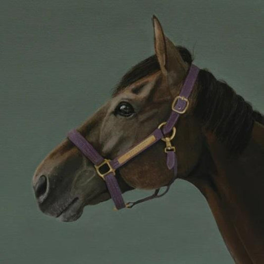 Hikari Ichihara - Brain Candy [CD]