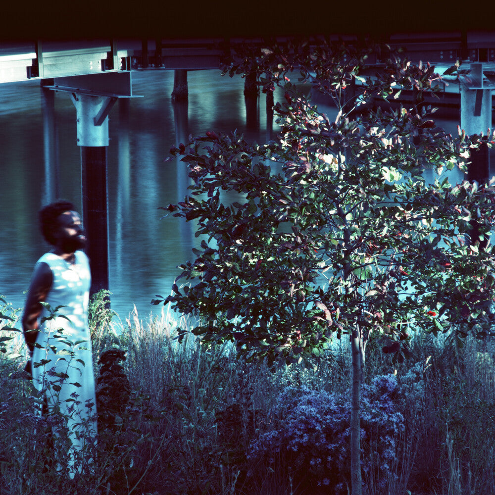 Jjjjjerome Ellis - Vesper Sparrow [CD]