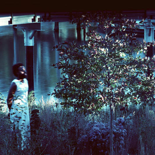 Jjjjjerome Ellis - Vesper Sparrow [CD]