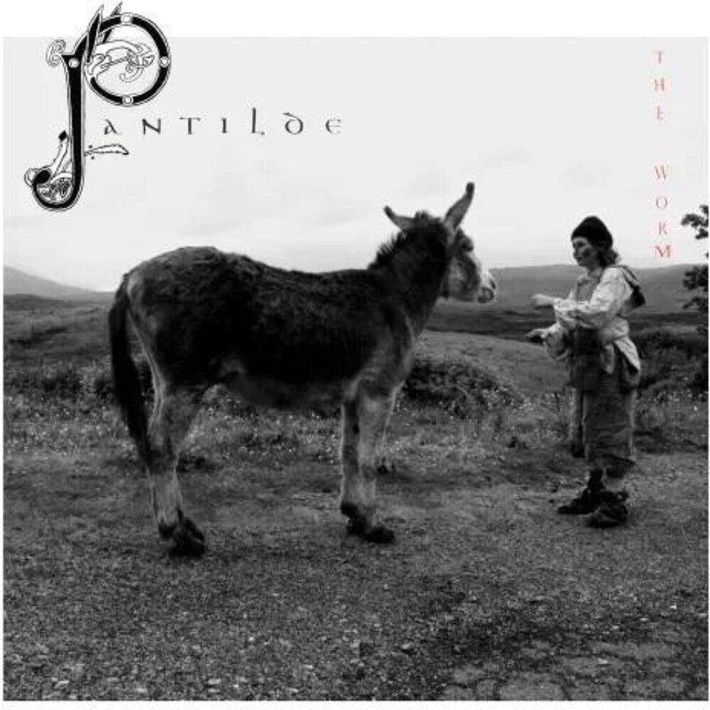 Worm - Pantilde [LP]