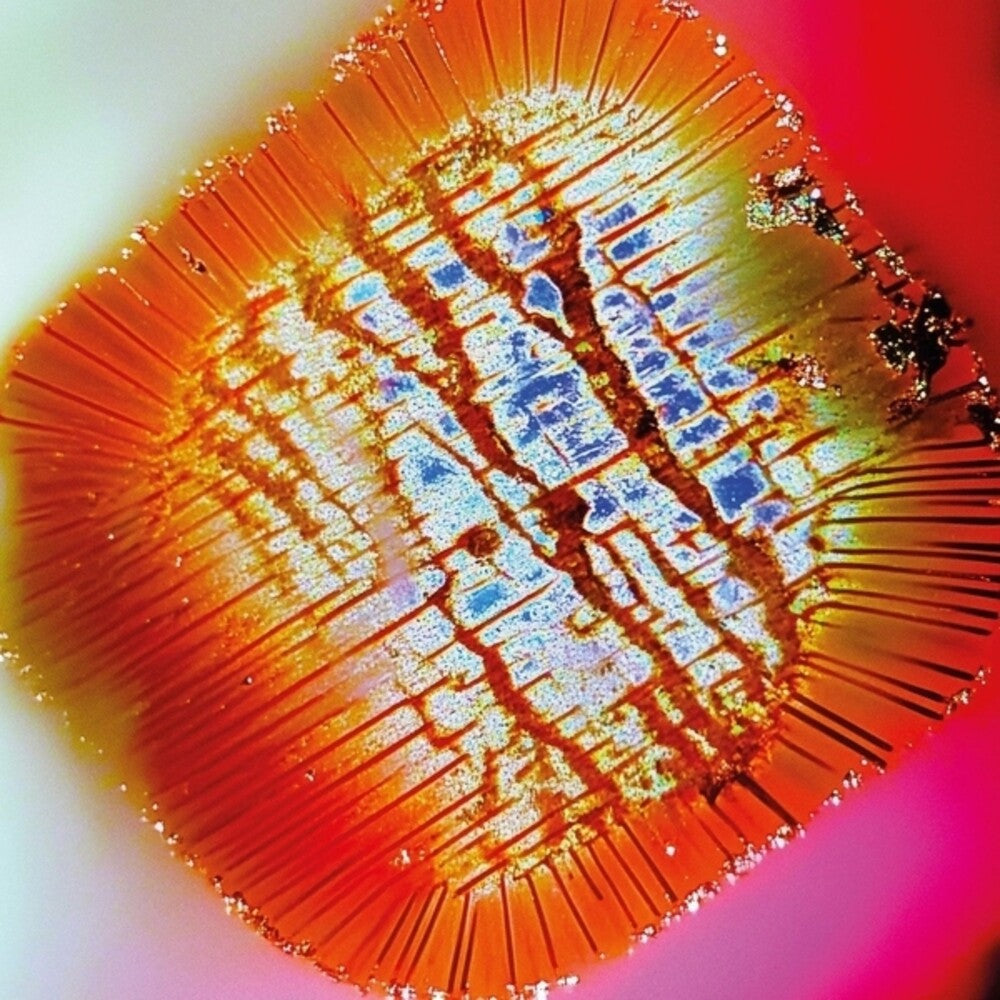 Mac Declos - Nothing Stands Still [LP]