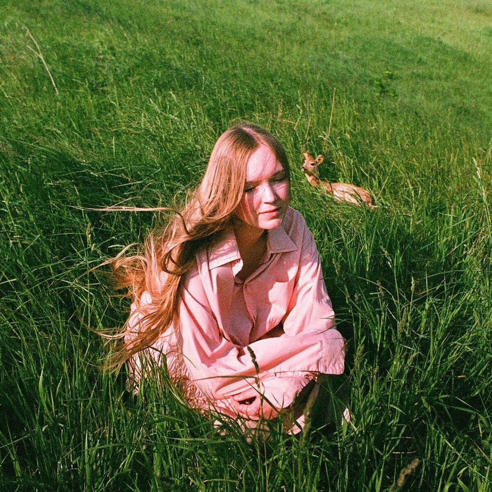 Babygirl - Stay Here Where It's Warm (Can) [LP]